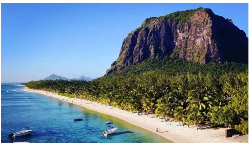 ScreenShot_2026-02-03_112210_478 ScreenShot_2026-02-03_112210_478