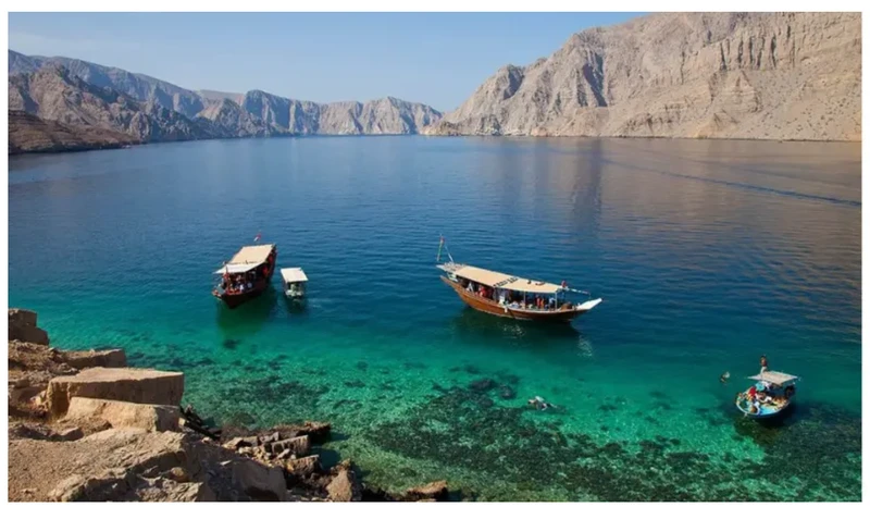 ScreenShot_2026-02-03_112159_208 ScreenShot_2026-02-03_112159_208